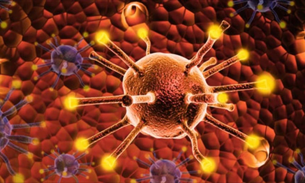 Καρκίνος: Πώς θα μειώσετε τον κίνδυνο να εμφανιστεί στη ζωή σας